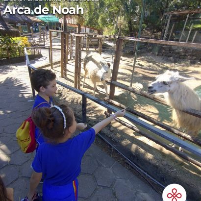 Trabalho de Campo – Arca de Noah